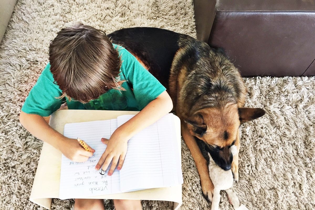Boys and a Dog Homemaking Homeschooling Tips for Busy Folks